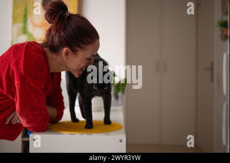 Fröhliche Frau, die mit Hauskatze spielt Stockfoto