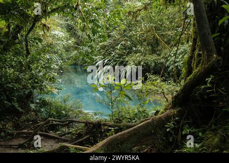 Río Celeste, Parque Nacional Volcán Tenorio, Provinz Alajuela, Costa Rica, Mittelamerika Stockfoto