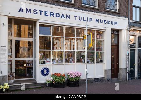 Amsterdam Tulpenmuseum an der Prinsengracht im Zentrum von Amsterdam. Stockfoto