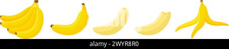 Bananenessen Schritt für Schritt. Bananen, geschälte exotische Früchte und gebissen. Frischer tropischer veganer Snack. Bio leckeres süßes Dessert, neoterischer Vektor Stock Vektor