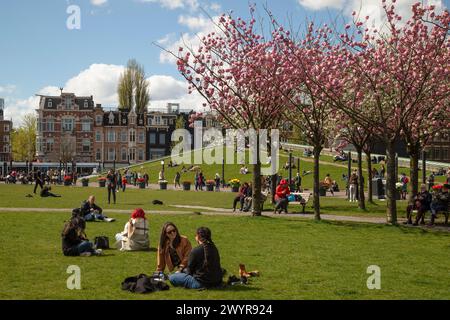 Die Menschen genießen einen sonnigen Frühlingstag auf dem Museumsplatz in Amsterdam. Stockfoto