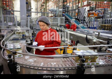 Etikettierung und Verpackung von Gemüse aus Konserven, grüne Bohnen, Konservenindustrie, Agrar- und Lebensmittelindustrie, Logistikzentrum, Grupo Riberebro, Alfaro, La Rioja, Spanien. Stockfoto