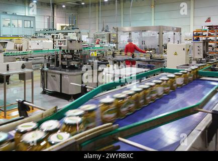 Etikettierung und Verpackung von Gemüse aus Konserven, grüne Bohnen, Konservenindustrie, Agrar- und Lebensmittelindustrie, Logistikzentrum, Grupo Riberebro, Alfaro, La Rioja, Spanien. Stockfoto