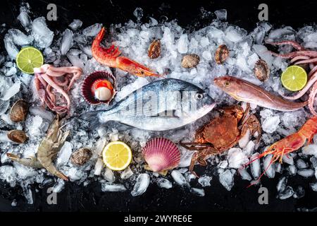 Fisch Und Meeresfrüchte. Frischer Fisch und Meeresfrüchte auf Eis, Flachblick über dem Kopf auf schwarzem Hintergrund. Muscheln, Jakobsmuscheln, Garnelen, Kraken und Limetten Stockfoto