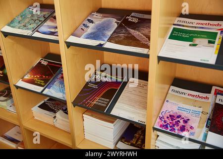 Wissenschaftszeitschriften. Ruhebereich. CIC nanoGUNE. Nano Science Genossenschaftsforschungszentrum. Donostia. San Sebastian. Gipuzkoa. Baskenland. Spanien. Stockfoto