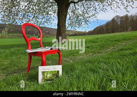 Der Fotobildband Bodypainting in Nature von Jörg Düsterwald präsentiert auf einem roten Stuhl im Gröninger Feld. Hameln, 08.04.2024 *** das Fotobuch Bodypainting in Nature von Jörg Düsterwald präsentiert auf einem roten Stuhl im Gröninger Feld Hameln, 08 04 2024 Foto:XT.xSkupinx/xFuturexImagex kirschbluete bodypainting 4403 Stockfoto