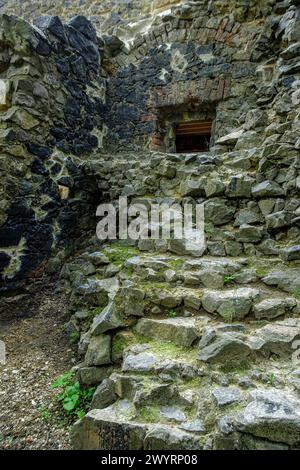 Die Pillnitzer Ruine, eine künstliche neogotische Ruine aus dem Jahr 1785 und ein verlorener Platz auf einem Hügel in Pillnitz, Dresden, Sachsen. Stockfoto