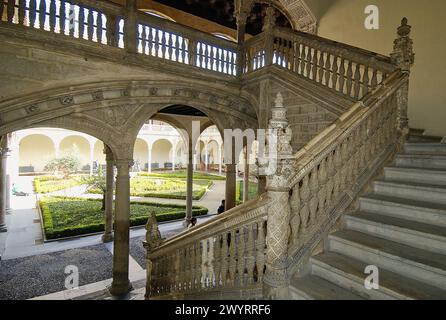 Plateresque Treppenhaus im Museo de Santa Cruz, gegründet von Kardinal Pedro González de Mendoza und erbaut im 16. Jahrhundert von Alonso de Covarrubias. Toledo. Castilla-La Mancha, Spanien. Stockfoto