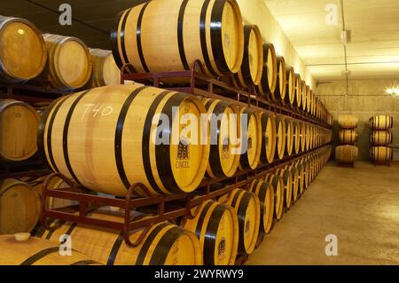 Reifung des Rioja-Weines in Eichenfässern. Bodegas Virgen del Valle, Samaniego, Rioja Alavesa, Euskadi. Stockfoto