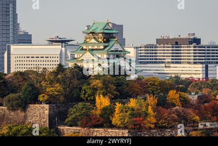 Farbenfrohe Herbstlandschaft am frühen Morgen rund um den Schlosspark Osaka, Präfektur Osaka, Kansai, Japan. Stockfoto