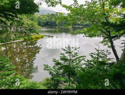 Eine attraktive Landschaft am Mittag des Spätsommers von einer Ecke des Yonko (vierten) Sees der Shiretoko Goko Seen im Shiretoko Nationalpark. Stockfoto