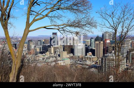 Blick auf die Skyline vom Mount Royal Hill in Montreal City - Kanada Stockfoto