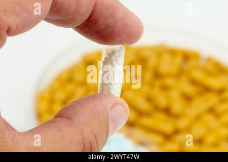 Proben von Kapseln, Generika, Pharmazeutische Anlage, Arzneimittelherstellung, Forschungszentrum, Apotheke, Bereich Gesundheit. Stockfoto
