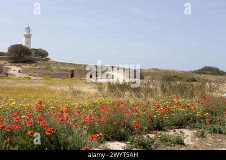 Paphos Lighthouse und Wildflower Meadow. Archäologischer Park Stockfoto