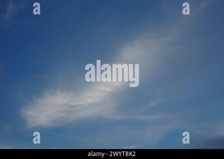 Ein weißes Langloch aus weicher, weißer Cirrus-Wolke, Schimmelpilzen und Nebelblöcken in einem blauen australischen Himmel Stockfoto