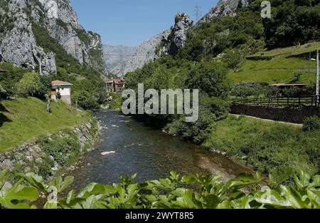 Desfiladero de la Hermida, Schlucht des Flusses Deva. Kantabrien. Spanien. Stockfoto