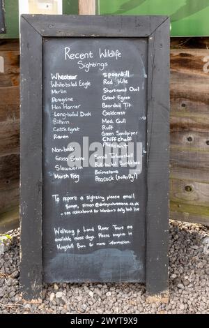 Kürzlich stattfindende Tiere und Vögel im Elmley Nature Reserve in Kent, England, Großbritannien. Wildtiere, die vor kurzem auf der Tafel gesehen wurden Stockfoto