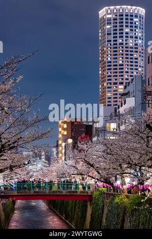 TOKIO, JAPAN - 06. APRIL 2024: Menschenmassen feiern Hanami (Kirschblüte) entlang des Meguro-Flusses in Tokio. Stockfoto
