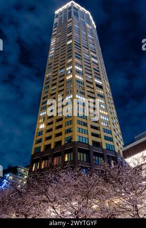 TOKIO, JAPAN - 06. APRIL 2024: Menschenmassen feiern Hanami (Kirschblüte) entlang des Meguro-Flusses in Tokio. Stockfoto