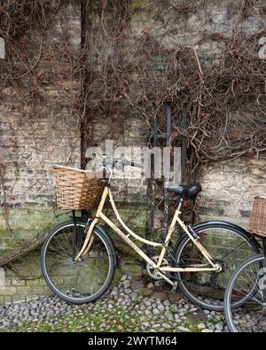 Fahrrad und alte Universitätsgebäude in Cambridge, Großbritannien Stockfoto