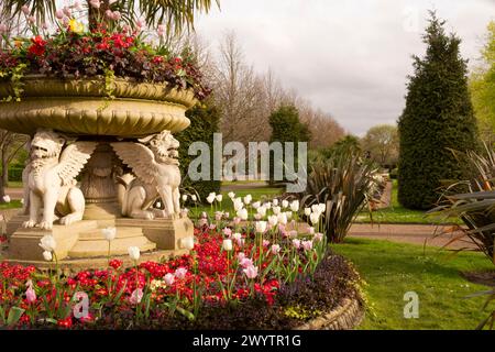 Eine Steinurne mit rotem Farbschema: Rote Tulipa, rote Primula und Huechera „Marmalade“ in den Avenue Gardens im Regent's Park. Stockfoto