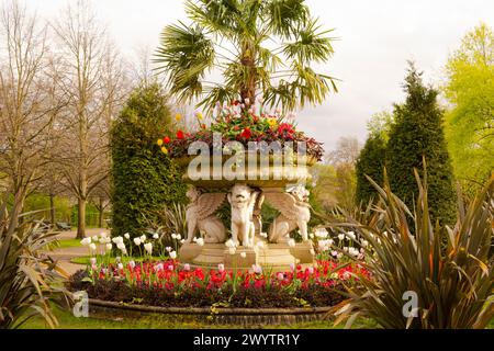 Die Griffin Tazza oder Löwenvase verziert mit geschnitzten geflügelten Löwen und gepflanzt mit Tulipa, Primula, Huechera und einer Fächerpalme in Avue Gardens in Regent' Stockfoto