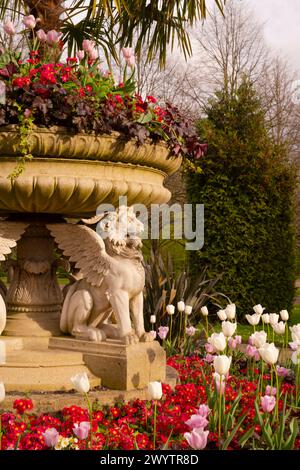 Die Griffin Tazza oder Löwenvase verziert mit geschnitzten geflügelten Löwen und gepflanzt mit Tulipa, Primula, Huechera und einer Fächerpalme in Avue Gardens in Regent' Stockfoto