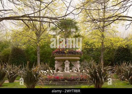 Die Griffin Tazza oder Löwenvase verziert mit geschnitzten geflügelten Löwen und gepflanzt mit Tulipa, Primula, Huechera und einer Fächerpalme in Avue Gardens in Regent' Stockfoto