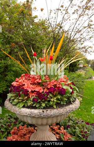 Eine Steinurne mit rotem Farbschema: Rote Tulipa, rote Primula und Huechera „Marmalade“ in den Avenue Gardens im Regent's Park. Stockfoto