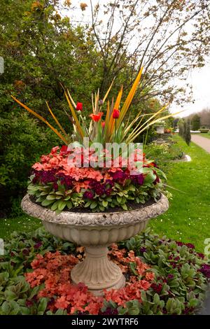 Eine Steinurne mit rotem Farbschema: Rote Tulipa, rote Primula und Huechera „Marmalade“ in den Avenue Gardens im Regent's Park. Stockfoto