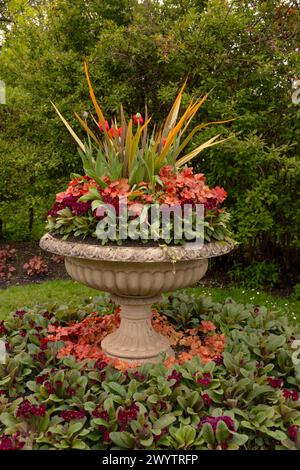 Eine Steinurne mit rotem Farbschema: Rote Tulipa, rote Primula und Huechera „Marmalade“ in den Avenue Gardens im Regent's Park. Stockfoto