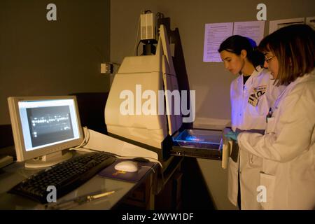 UV-Transilluminator zur Darstellung der Agarosegelelektrophorese. Chemidoc-System. Biotechnologie-Labor, Neiker Tecnalia, Instituto de Investigación y Desarrollo Agrario, Ganadero, Forestal y del Medio Natural, Arkaute, Alava, Euskadi, Spanien. Stockfoto