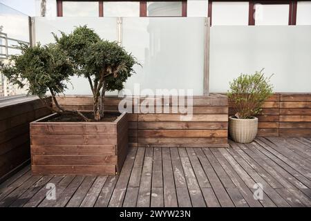 Ein kleiner Baum gedeiht in einem hölzernen Pflanzgefäß auf einer Terrasse und verleiht dem Außenbereich natürliche Schönheit und Gelassenheit Stockfoto