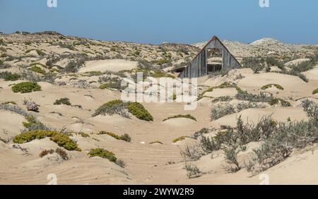 Verlassener Schuppen des Bergbauhauses, erhalten durch die trockene Wüstenluft, in der Mine Borgenfels in der Verbotenen Zone in Namibia. Stockfoto