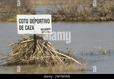 Überschwemmungen am Ebro-Fluss. Februar 2003. Pina de Ebro, Provinz Saragossa. Spanien. Stockfoto