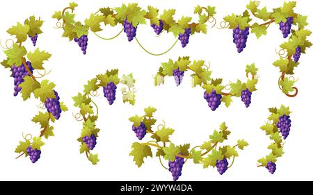 Cartoon-Weintraube. Süße rote Trauben, reifer Rohwein und Saftzutaten. Weben von Zweigen mit Blättern und Beerenbündeln. Weingut heute Vektor Stock Vektor