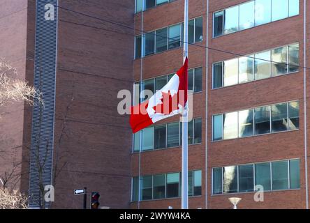 Die wunderschöne kanadische Flagge winkt vor dem Geschäftsgebäude in der Innenstadt von Montreal Stockfoto