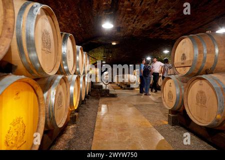 Weinkeller, Chateau de Pommard, Weinstraße der Grands Crus, Pommard, Cote de Beaune, Cote d'Or, Region Burgund, Bourgogne, Frankreich, Europa. Stockfoto