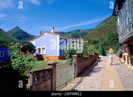 Straße. Soto de Aguas, Asturien, Spanien. Stockfoto