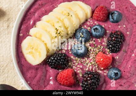 Hausgemachte gesunde Berry Smoothie Schüssel mit Banane und Hanf Stockfoto