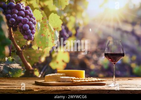 Harmonie von Wein und Käse. Glas mit Rotwein und Käse auf Holzbrett als Vorspeise mit Traubenbäumen im Hintergrund Stockfoto