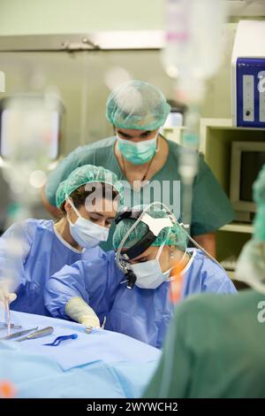 Tonsillektomie, Chirurgen, die eine Tonsillektomie durchführen Tonsillenentfernung Chirurgie, ORL, Hals-Nasen-Ohren-OP, Krankenhaus Donostia, San Sebastian, Gipuzkoa, Baskenland, Spanien. Stockfoto