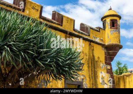 Festung Sao Tiago, farbenfrohe gelbe Festung in Funchal, Insel Madeira, Portugal Stockfoto