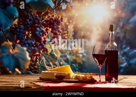Flasche und Glas mit rotem Biowein, Käse und Crackern, die als Vorspeise mit Traubenzweigen und Sonnenlicht im Hintergrund dienen. Stockfoto