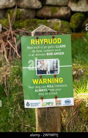 Warnschild, halten Sie Hunde an der Leitung, Snowdonia Nationalpark in der Nähe von Pont Pen-y-Benglog, Bethesda, Bangor, Wales, Großbritannien Stockfoto