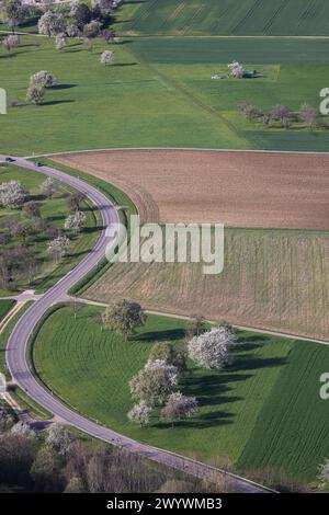 Ausblick vom Breitenstein bei Ochsenwang auf das Albvorland. // 08.04.2024: Bissingen an der Teck, Baden-Württemberg, Deutschland, Europa *** Blick von Breitenstein bei Ochsenwang zum Albvorland 08 04 2024 Bissingen an der Teck, Baden-Württemberg, Deutschland, Europa Stockfoto