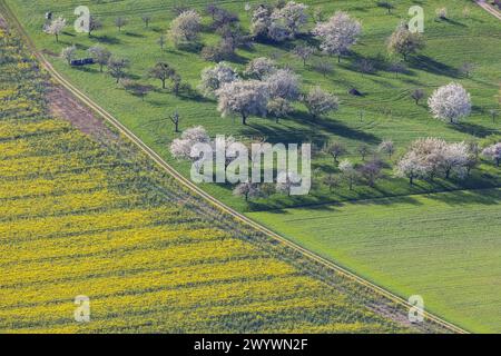 Ausblick vom Breitenstein bei Ochsenwang auf das Albvorland. // 08.04.2024: Bissingen an der Teck, Baden-Württemberg, Deutschland, Europa *** Blick von Breitenstein bei Ochsenwang zum Albvorland 08 04 2024 Bissingen an der Teck, Baden-Württemberg, Deutschland, Europa Stockfoto