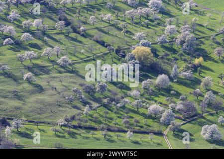 Ausblick vom Breitenstein bei Ochsenwang auf das Albvorland. // 08.04.2024: Bissingen an der Teck, Baden-Württemberg, Deutschland, Europa *** Blick von Breitenstein bei Ochsenwang zum Albvorland 08 04 2024 Bissingen an der Teck, Baden-Württemberg, Deutschland, Europa Stockfoto