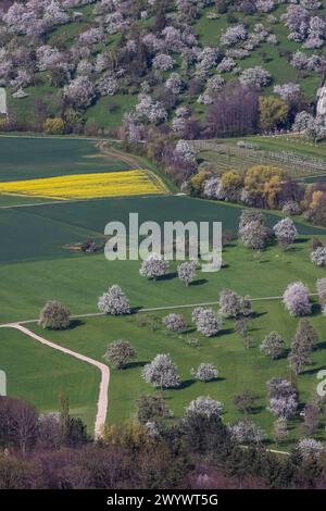 Ausblick vom Breitenstein bei Ochsenwang auf das Albvorland. // 08.04.2024: Bissingen an der Teck, Baden-Württemberg, Deutschland, Europa *** Blick von Breitenstein bei Ochsenwang zum Albvorland 08 04 2024 Bissingen an der Teck, Baden-Württemberg, Deutschland, Europa Stockfoto