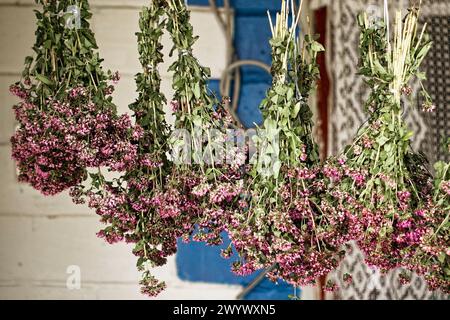 Eine Nahaufnahme getrockneter Blumensträucher mit leuchtenden violetten Blüten und grünen Stielen, die zusammengebunden sind und eine organische und erdige Umgebung darstellen. Stockfoto